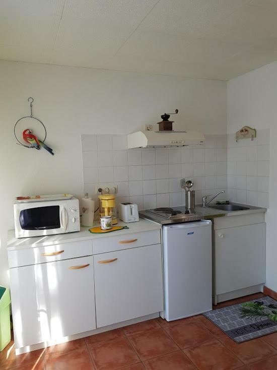 studio Côté Sud vert Sarlat Esterno foto